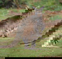 Donnelly River - Events Australia