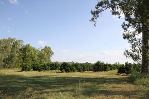 Dululu - Events Australia 1