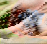 Eat Pick Grow Trail - Wanneroo and Chittering - Events Australia