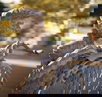 Evandale - Events Australia