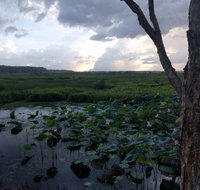 Fogg Dam Conservation Reserve - Tourism Bookings