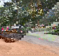 Fred's Pass Rural Market - Events Australia