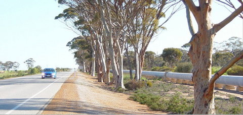 Golden Pipeline Heritage Trail - Events Australia 0