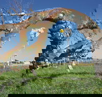 Greenough Leaning Trees - Events Australia