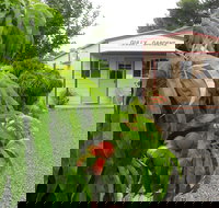 Gully Gardens - Events Australia