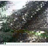 Henty Government Dam Nature Reserve - Events Australia