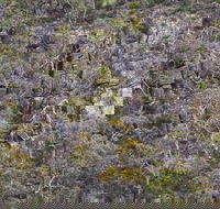 Horsnell Gully and Giles Conservation Parks - Events Australia