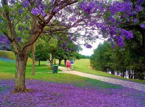 Howe Park - Events Australia 0