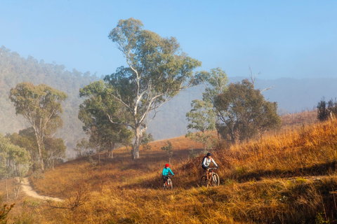 Kambah Pool To Pine Island Walking Trail - Events Australia 0