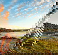 Killalea Reserve - Events Australia