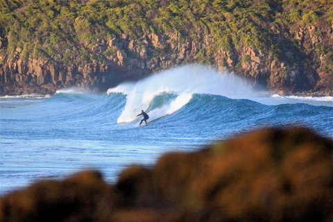 Killalea Reserve - Events Australia 1