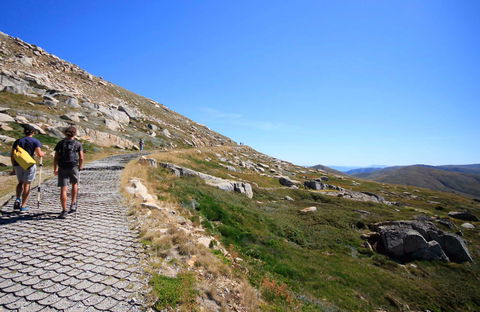 Kosciuszko Walk - Thredbo To Mount Kosciuszko - Events Australia 0