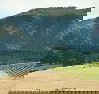 Langi Ghiran State Park - Events Australia