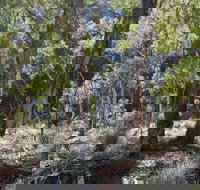 Mount Gray walking track - Events Australia