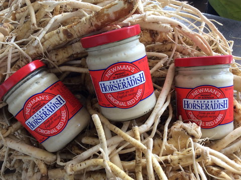 Newman's Horseradish Farm And Rusticana Wines - Events Australia 0