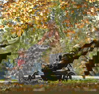 Noreuil Park - Events Australia