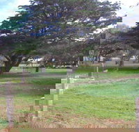 Old Cemetery Kingscote - Events Australia