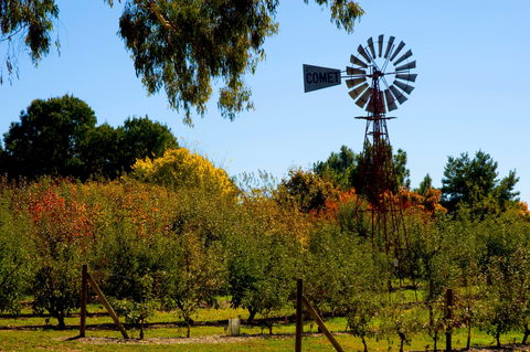 Orange Botanic Gardens - Events Australia 2