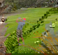 Pambula Merimbula Golf Club - Events Australia