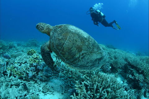 Pams Point - Events Australia 0