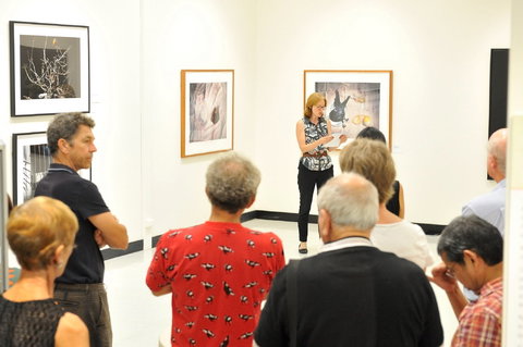 Pine Rivers Art Gallery - Events Australia 1