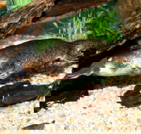 Platypus House - Events Australia