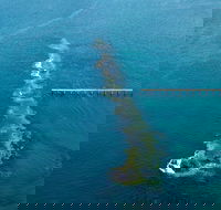 Port Noarlunga Reef Sanctuary Zone - Encounter Marine Park - Events Australia