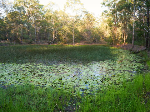 Raysource Road - Events Australia 2