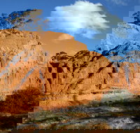 Red Banks Conservation Park - Events Australia