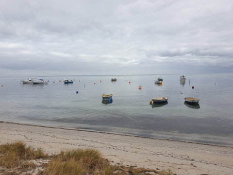 Rosebud Beach - Events Australia 1