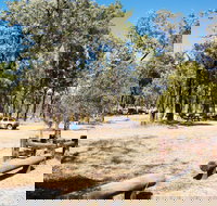 Salvator Rosa Carnarvon National Park - Events Australia