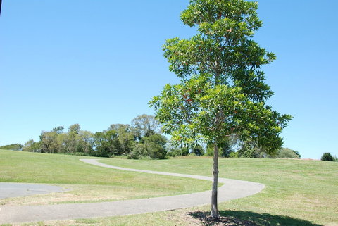 Samford Valley Rail Trail - Events Australia 2
