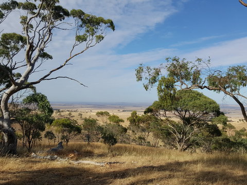 Spring Gully Conservation Park - Events Australia 1