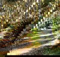 Square Head Track 2 - Events Australia