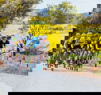 The Heron's Highway - Avon River Cycle Trail - Events Australia