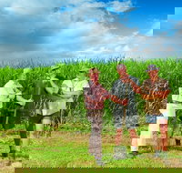 The Shed Gallery - Events Australia