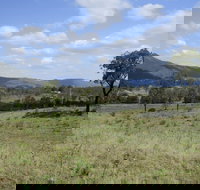 Thornton - Tourism Bookings