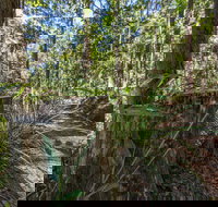 Thylogale Track - Events Australia