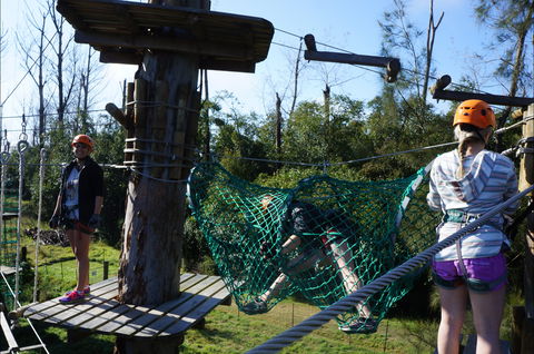 Trees Adventure - Lane Poole Park - Events Australia 0