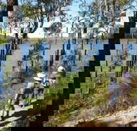 Wellington Discovery Forest - Events Australia