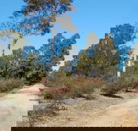 Werakata National Park - Events Australia