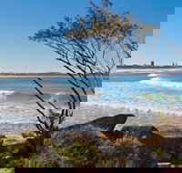 Wooli to Red Rock Walk - Events Australia