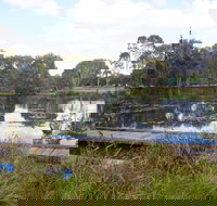 Baldwin Swamp Environmental Park - Events Australia