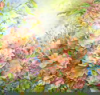 Barossa Chateau Artist in Residence