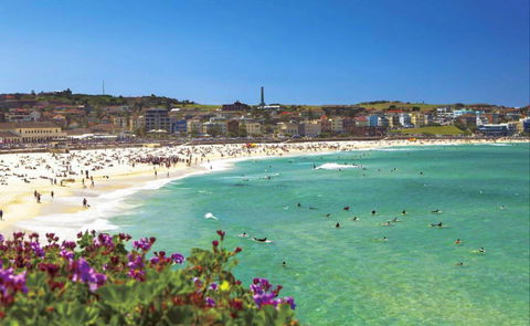 Bondi - Tourism Bookings 0