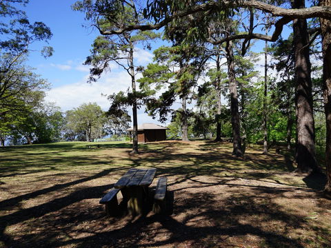 Bowen Mountain Park - Tourism Bookings 0