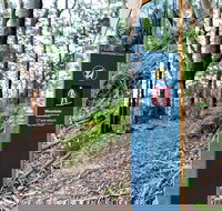 Bulahdelah Mountain Aboriginal Place - Events Australia