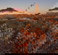 Cape Willoughby Heritage Trail - Tourism Bookings