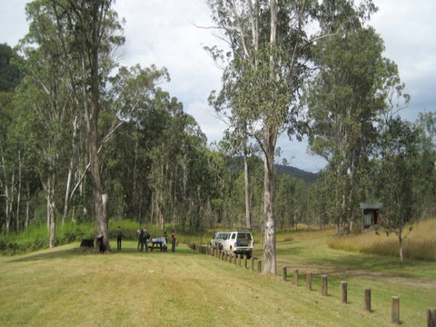 Chaelundi National Park - Events Australia 0