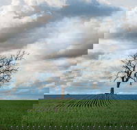 Clare Valley - Events Australia